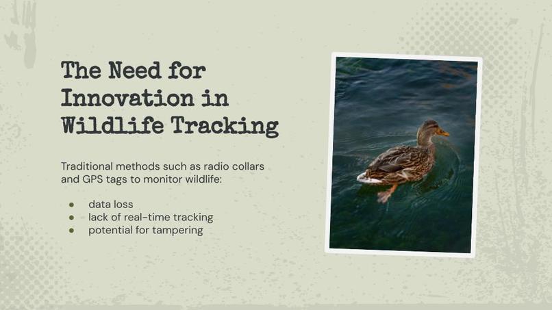 Revolutionizing Wildlife Tracking with Blockchain Technology – screenshot 2