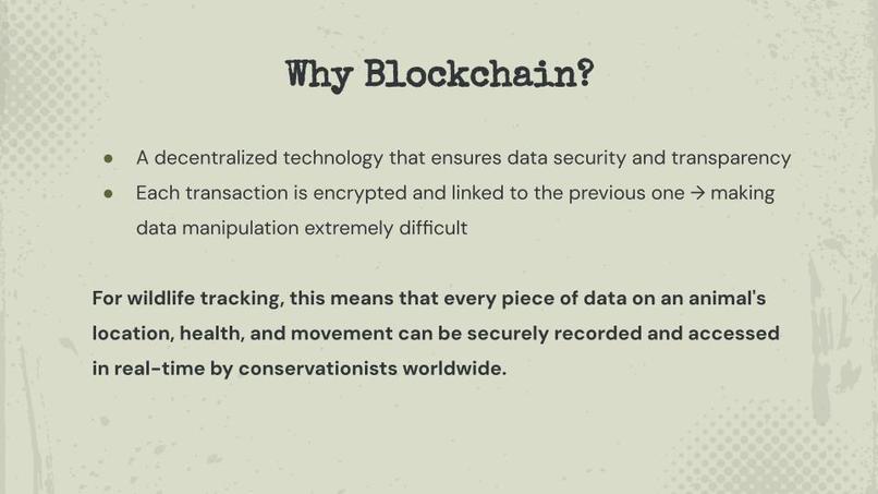 Revolutionizing Wildlife Tracking with Blockchain Technology – screenshot 4