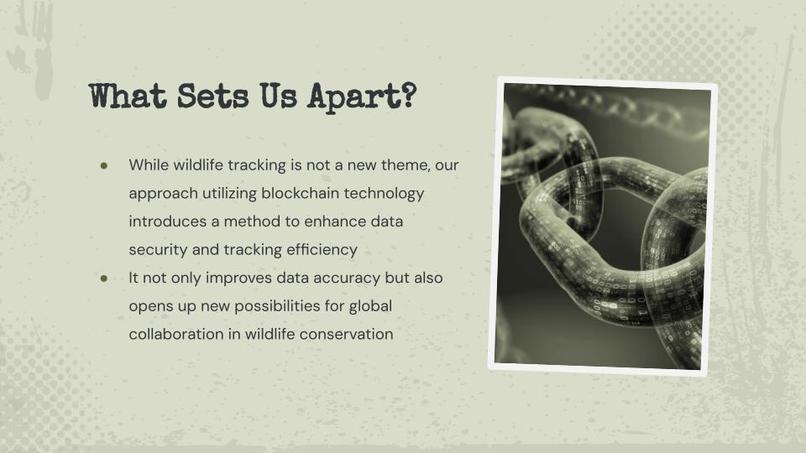 Revolutionizing Wildlife Tracking with Blockchain Technology – screenshot 10