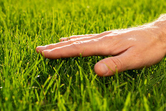 TouchSomeGrass