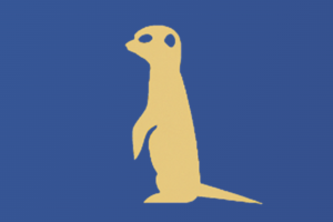 MeerkatIO