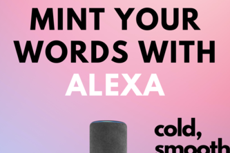 Alexa Mint Skill