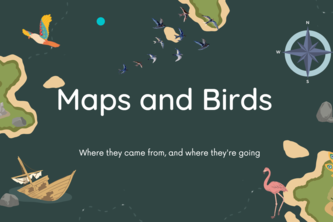 Maps and Birds