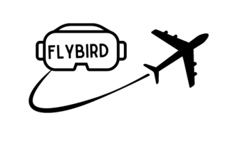 FLYBIRD VR