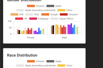 Diversity in Tech Workplace